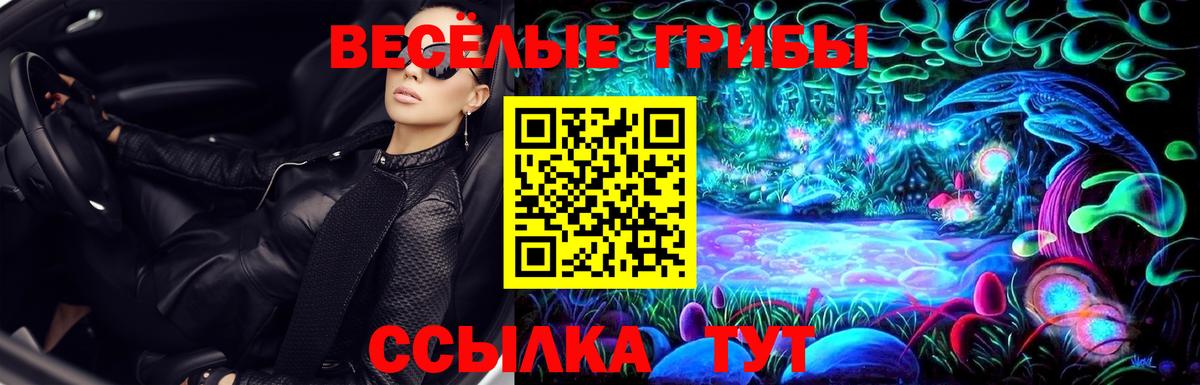 Галлюциногенные грибы Psilocybe Евпатория