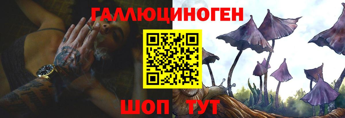Евпатория  Псилоцибиновые грибы Psilocybine cubensis  Вход с VPN 